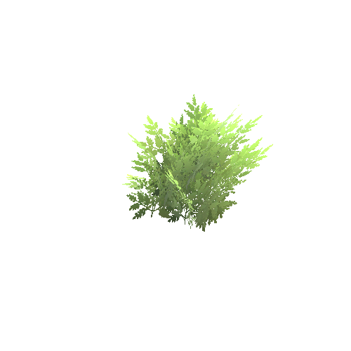 bush_a_small Variant